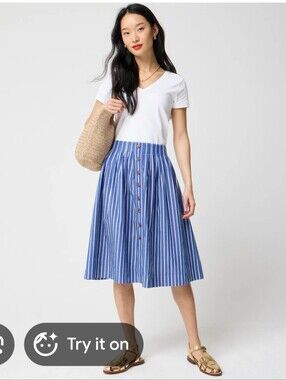 J.Crew Factory Pleated button-front midi skirt Blue Striped Sz XS $98 Old Money